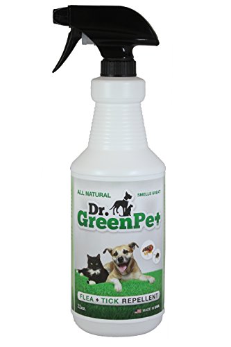 Best Flea Treatment For Dogs - Pills, Drops, Shampoos, Sprays