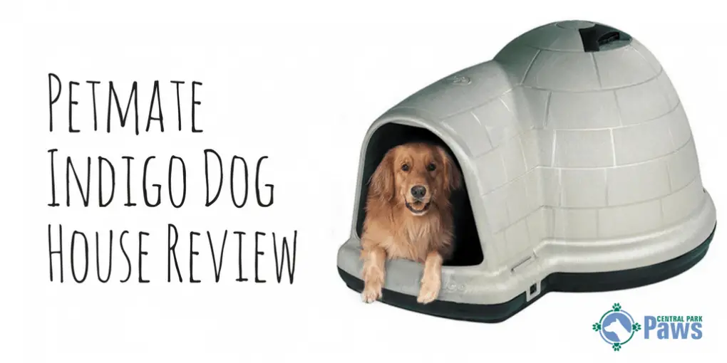 Petmate Indigo Dog House Review A Plastic Igloo For Your Pup