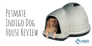 Petmate Indigo Dog House Review