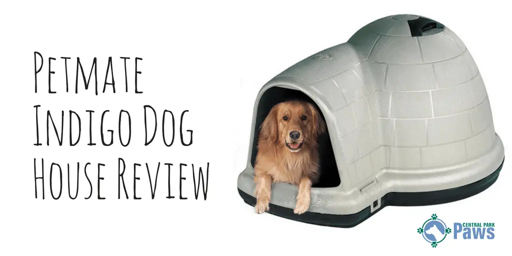 medium igloo dog house