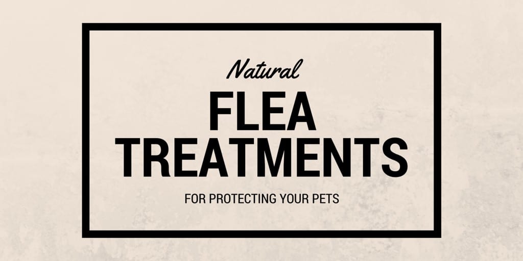 Natural flea treatments