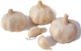 garlic antibiotic