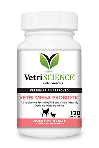 probiotic vitamins for dogs