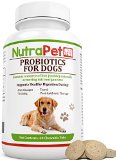 puppy antibiotics