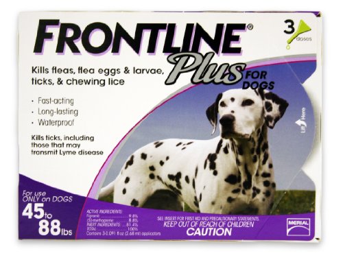 Frontline Plus Flea and Tick Control flea drops for dogs