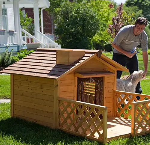 dog houses for big dogs