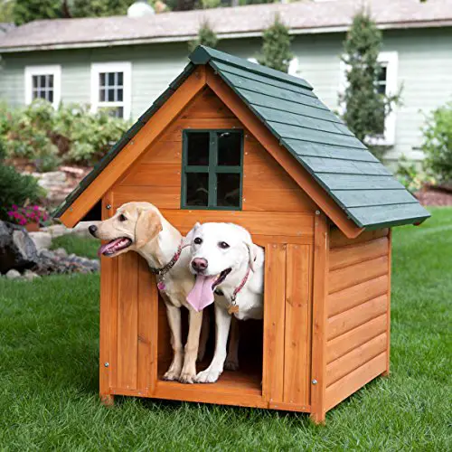 dog houses for large dogs