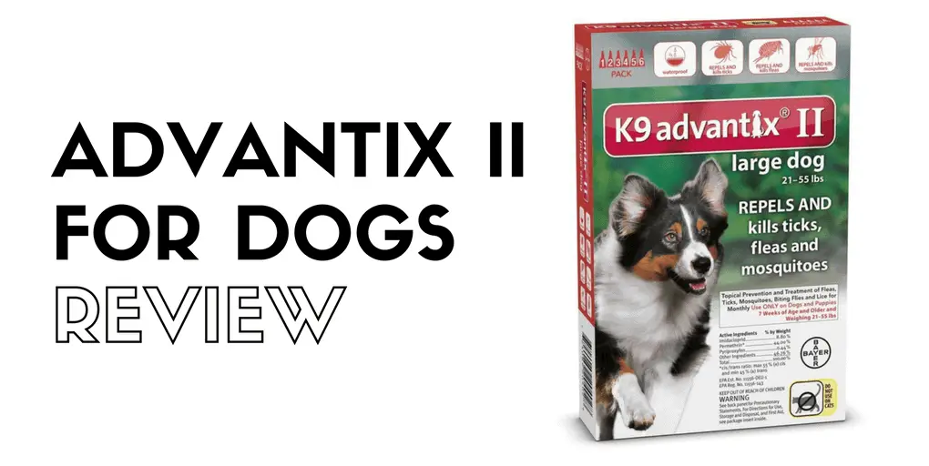 Advantix II flea drops review Advantix II flea drops review