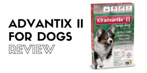 Advantix II flea drops review