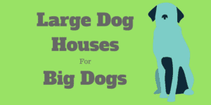 Large Dog Houses for big dogs