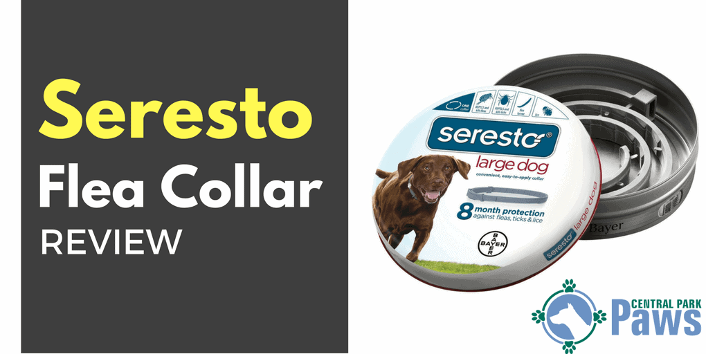 Bayer Seresto Flea and Tick Collar for Dogs Review - The ...