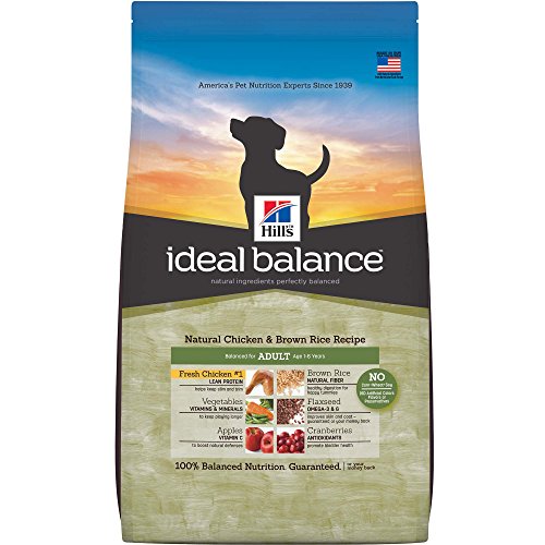 ideal balance dog food