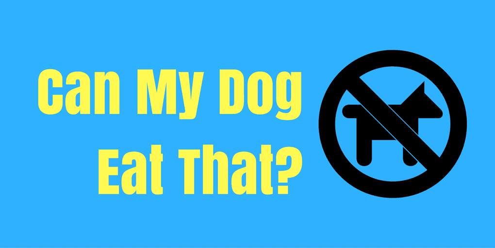 can my dog eat that can my dog eat that