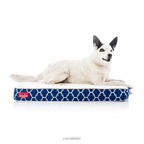 BRINDLE Waterproof Designer Memory Foam Pet Bed review