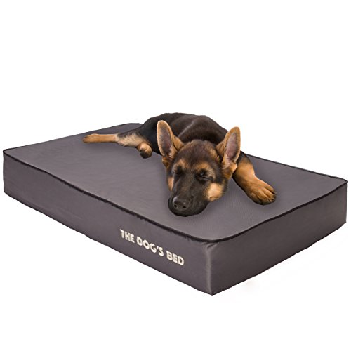 The Dog's Memory Bed orthopedic review