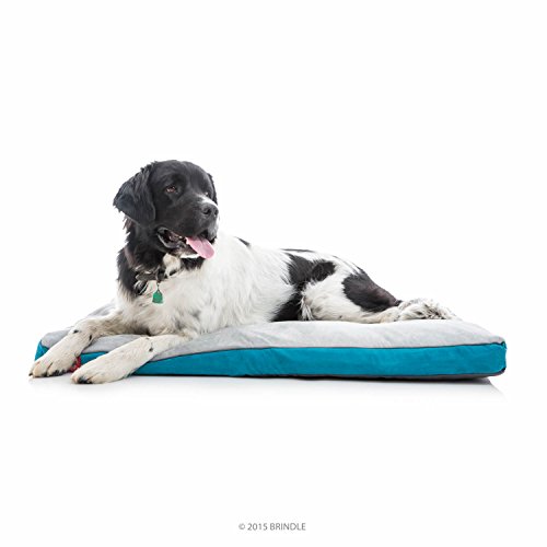 BRINDLE Soft Memory Foam Dog Bed review
