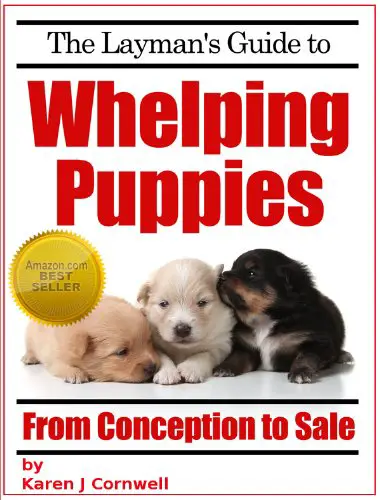 create a whelping box for puppies