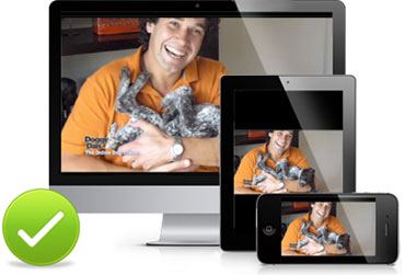 Doggy Dan the online dog trainer review