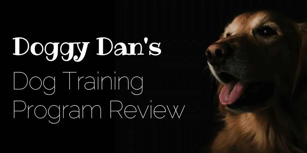 online dog trainer