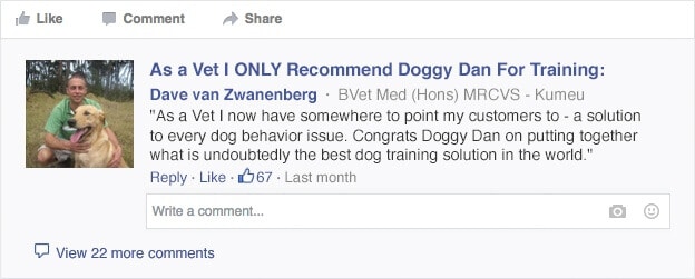 doggy dan dog training