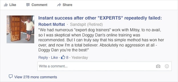 review of doggy dan 5 golden rules