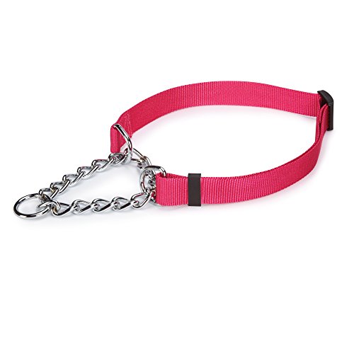 Martingale Collars for training dog to not pull