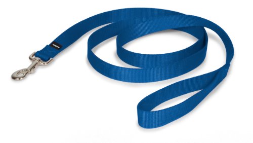 Standard Dog Leash for leash training