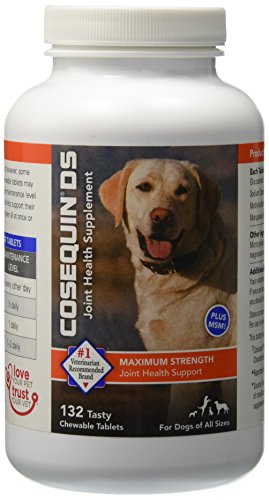 Nutramax Cosequin DS PLUS MSM