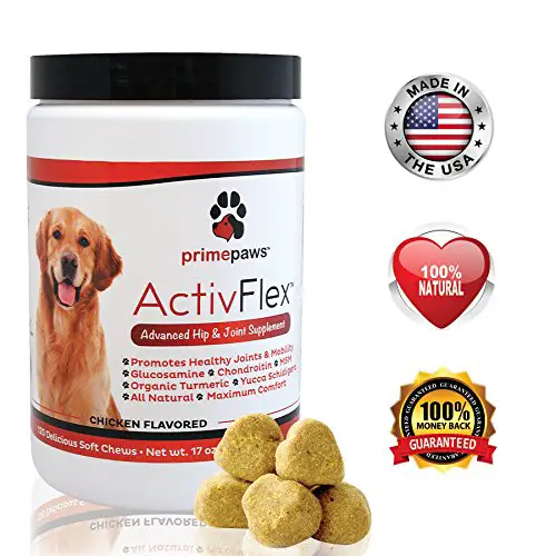 joint supplements for dogs