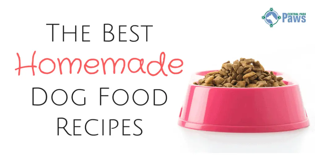 The Best Homemade Dog Food Recipes: 82 Easy DIY Meals For Your Pup