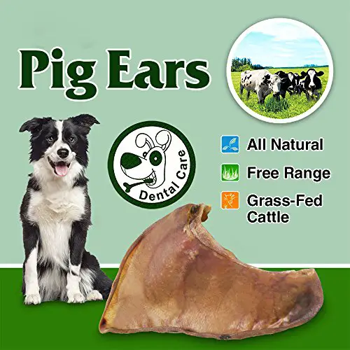 all natural pig ears for dogs