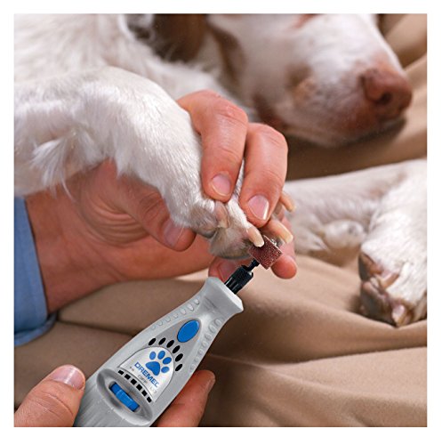 dremel for grinding dogs nails