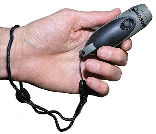 electronic dog whistle