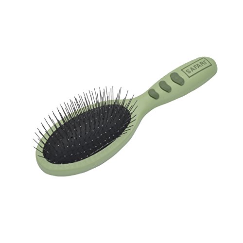 Wire Dog Brush