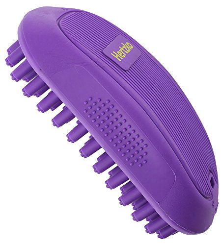 Silicone Dog Brush