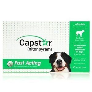 Capstar Flea Pills for Large Dogs