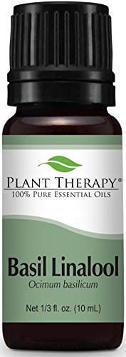Basil essential oil repels fleas and mosquitoes