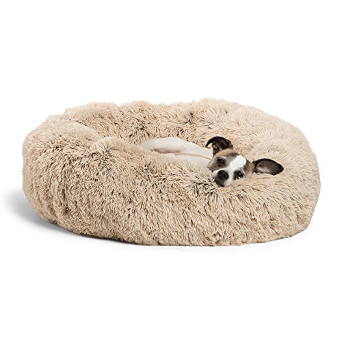 washing plush dog beds