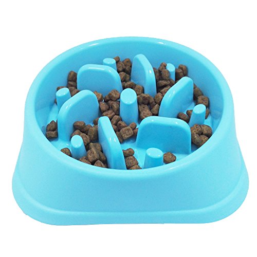 Dog Bowl To Slow Down Fast Eaters