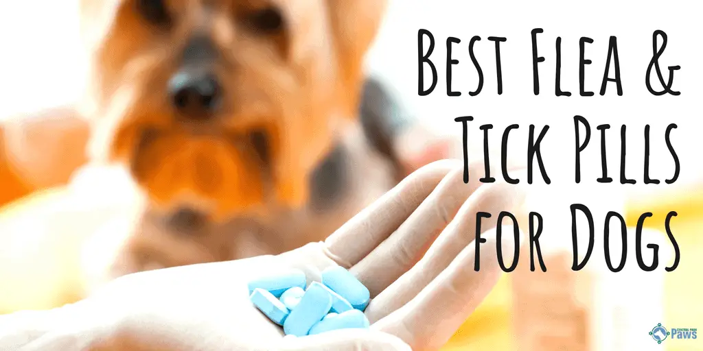 30 day flea and tick pill for dogs