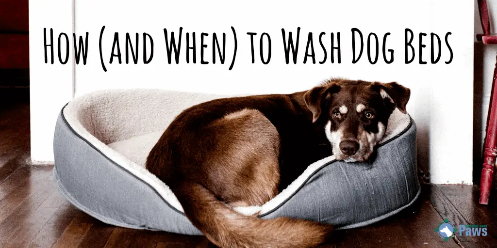 wash dog bed in washer