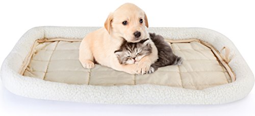 wash puppy bedding with blue Dawn soap