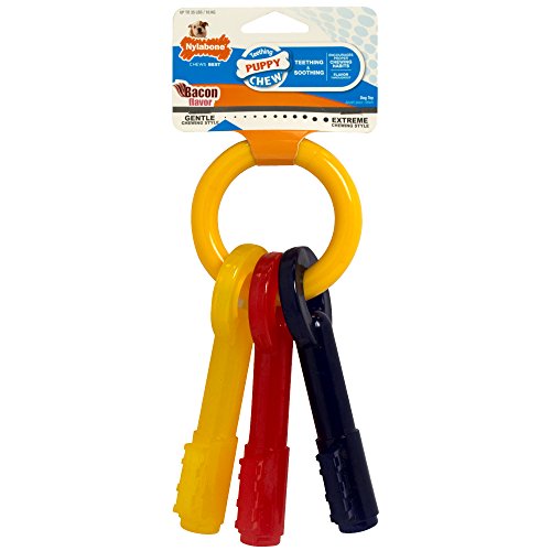 nylabone puppy chew key ring