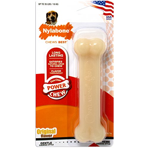 Nylabone Chew Toy