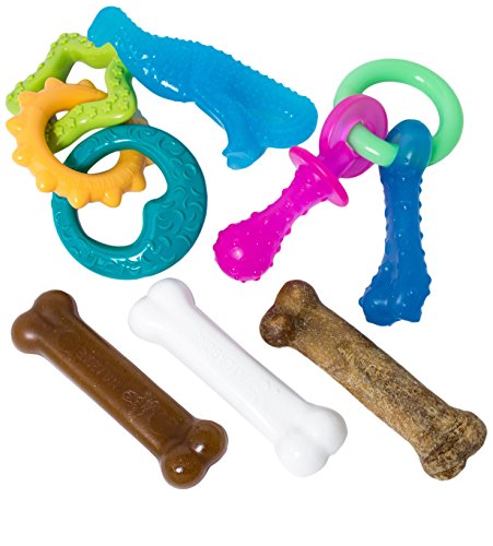 variety of nylabone puppy teethers