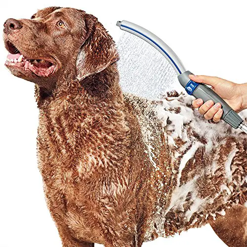 waterpik for bathing dogs using water and soap
