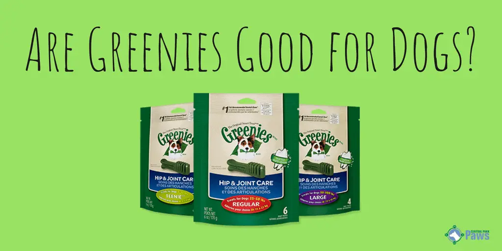 Are Greenies Good or Bad for Dogs