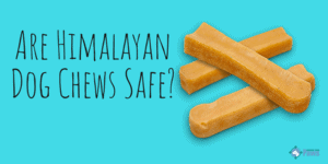 Are Himalayan Dog Chews Safe_