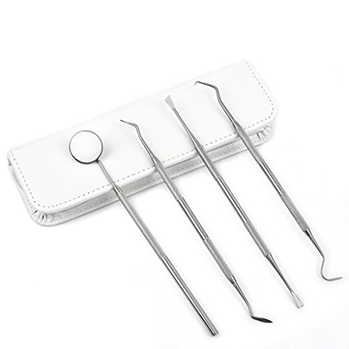 Pet Dental Cleaning Tools