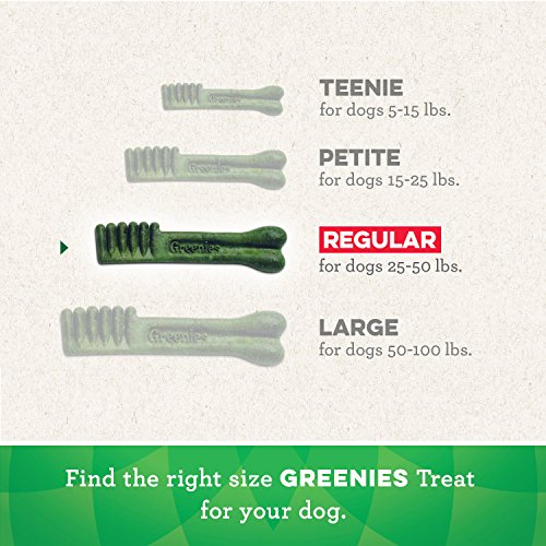 Find the Right Size Greenies Treat For your dog's size